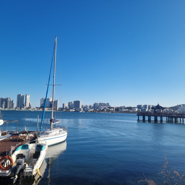 속초 청초호 유원지 산책 코스 총정리 (주차, 요트 체험, 야경 명소)