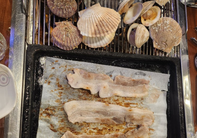 [속초맛집] 영금정 근처 가성비 끝판왕! '속초 조개마을' 무한리필 후기 🐚🥓