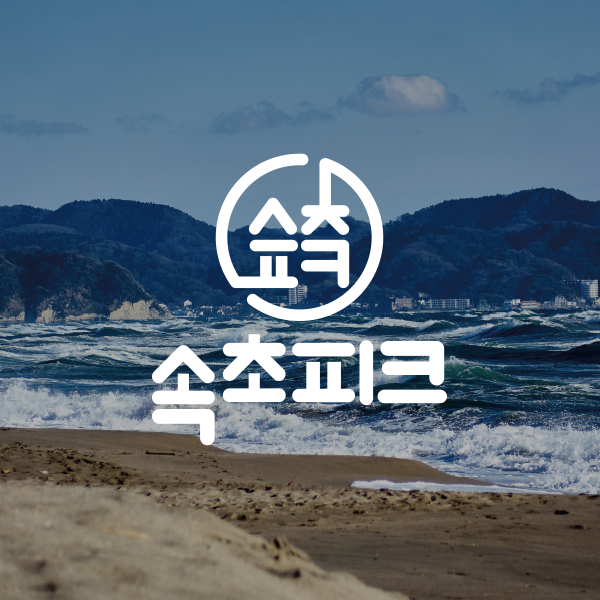 속초피크, 속초 숙소예약,속초여행, 속초 단독 주택에서 여유롭게 지내기